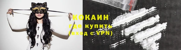 гидра Аркадак