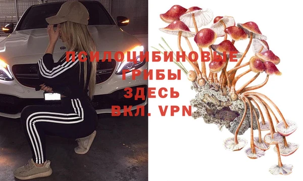 гидра Аркадак