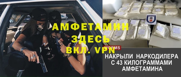 гидра Аркадак