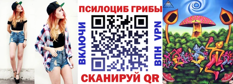 что такое   shop какой сайт  Галлюциногенные грибы Magic Shrooms  Сунжа 